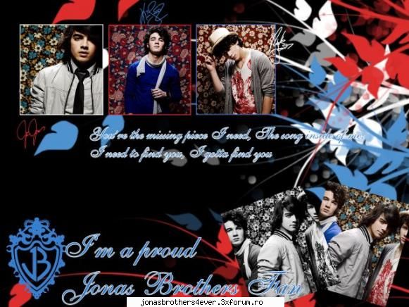:hi: galerie poze jonas  brothers