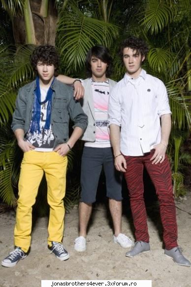 jonas brothers pregatesc un serial despre ei succesul de filmul `camp rock` (productie disney 2008,